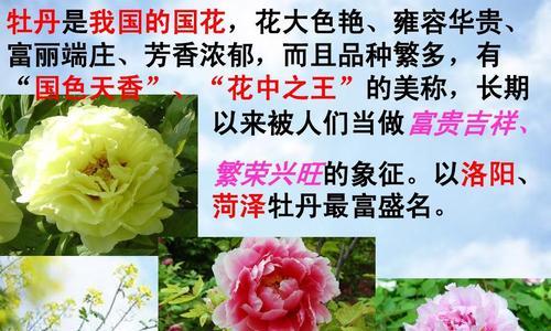 牡丹花富贵品种的养护要点是什么？