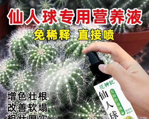 仙人球开花需要什么肥料？施肥技巧是什么？