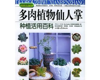 家庭中如何正确种植仙人掌？有哪些技巧？