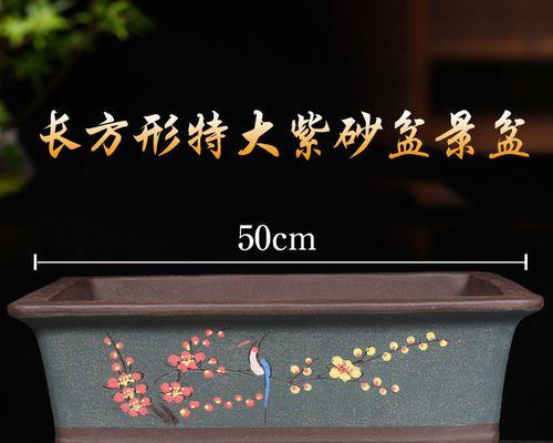 选择君子兰高级花盆的标准是什么？哪种材质更适合君子兰？