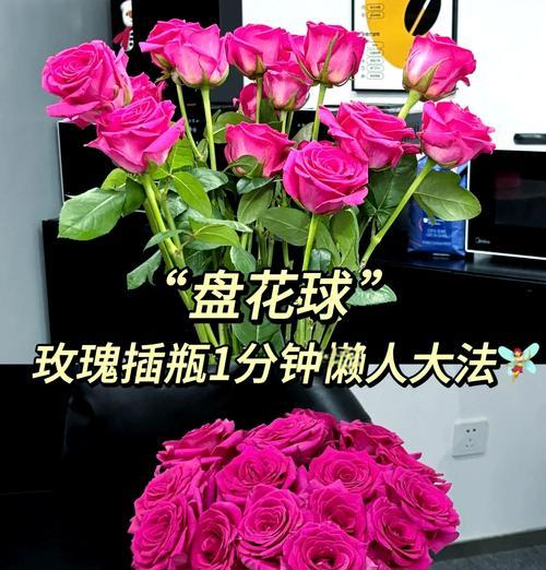 独束浪漫玫瑰花养殖方法有哪些？
