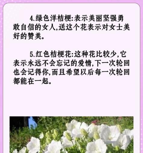 哪种花的花语代表成长？成长相关的花语有哪些？