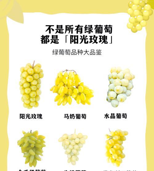 水晶葡萄象征着什么？