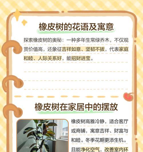 哪种树种的种子有特别的花语？