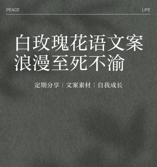 白玫瑰花语代表什么？送情人白玫瑰有何含义？