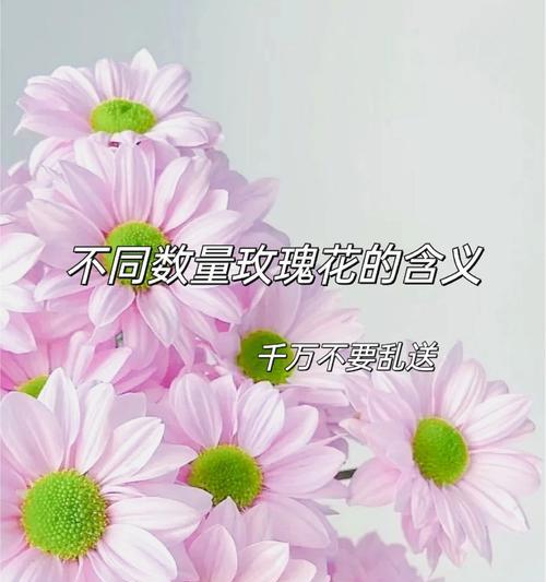 送几朵玫瑰花分别代表什么含义？