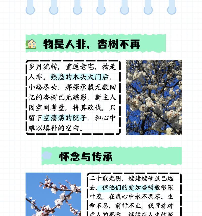 杏花的花语是什么？杏花的寓意有哪些？