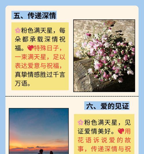 仙女湖的花语有何浪漫含义？