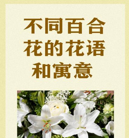 一花双色的花语通常与哪种花相关？