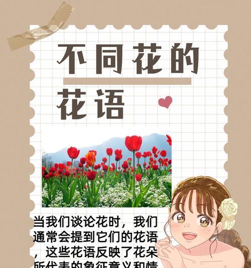 一花双色的花语通常与哪种花相关？
