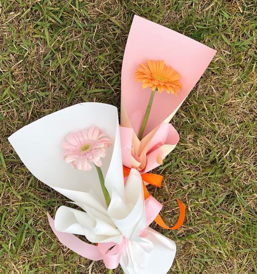 白色拉丝非洲菊花语是什么？它传递了哪些信息？