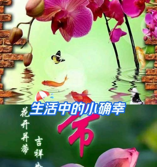 兰花的花语象征着什么精神？