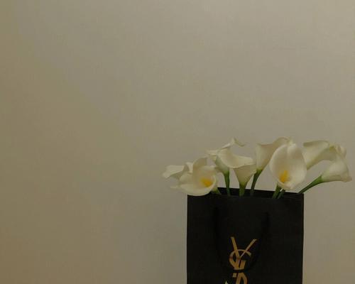 笨蛋美人的花语代表什么？