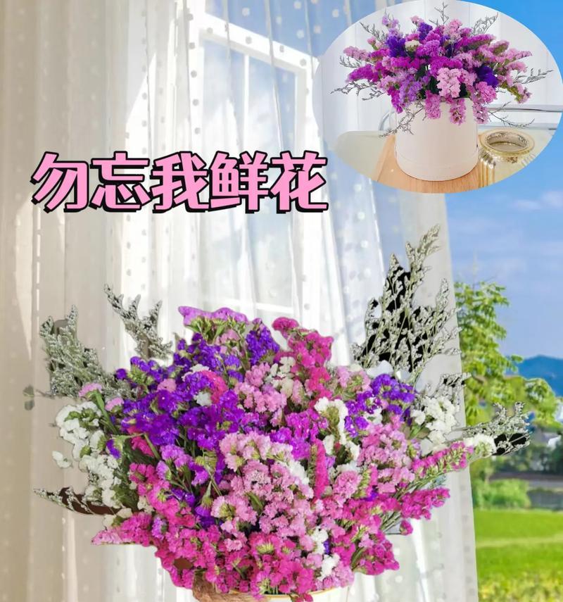 两朵玫瑰花发夹的花语是什么？代表了哪种情感？