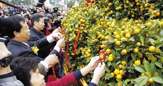 红包与花语有何联系？它象征着什么？