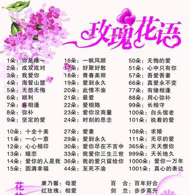 送情侣玫瑰花颜色有何含义？选择哪种颜色最合适？