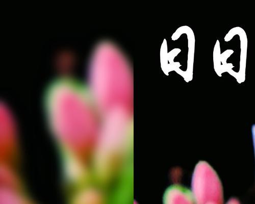 草草描绘郎模样的花语谜底是什么？