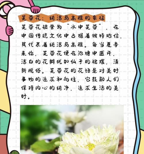 “关于重回”的花语是什么？重回的花语有何含义？