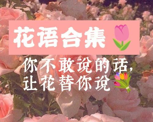 “满眼皆是你”花语代表哪种花？这种花语有何深意？