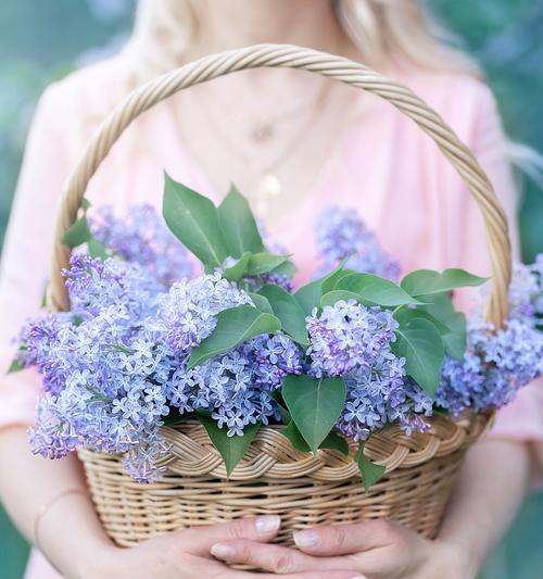 追求希望的花语有哪些？希望的花语在送花时代表什么？