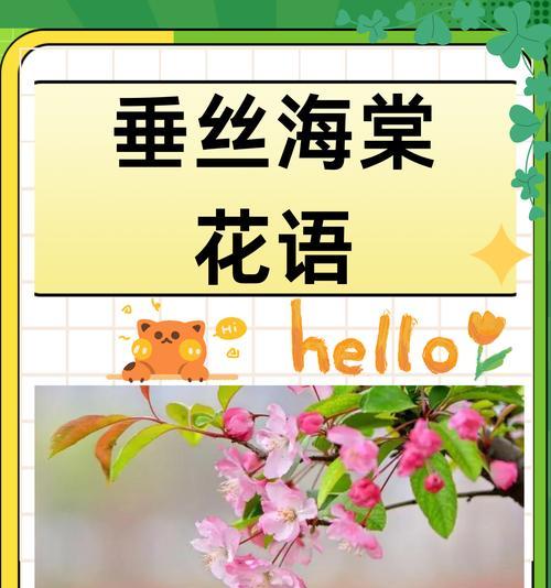 花语中美丽温柔的花朵是什么？它象征着什么样的意义？