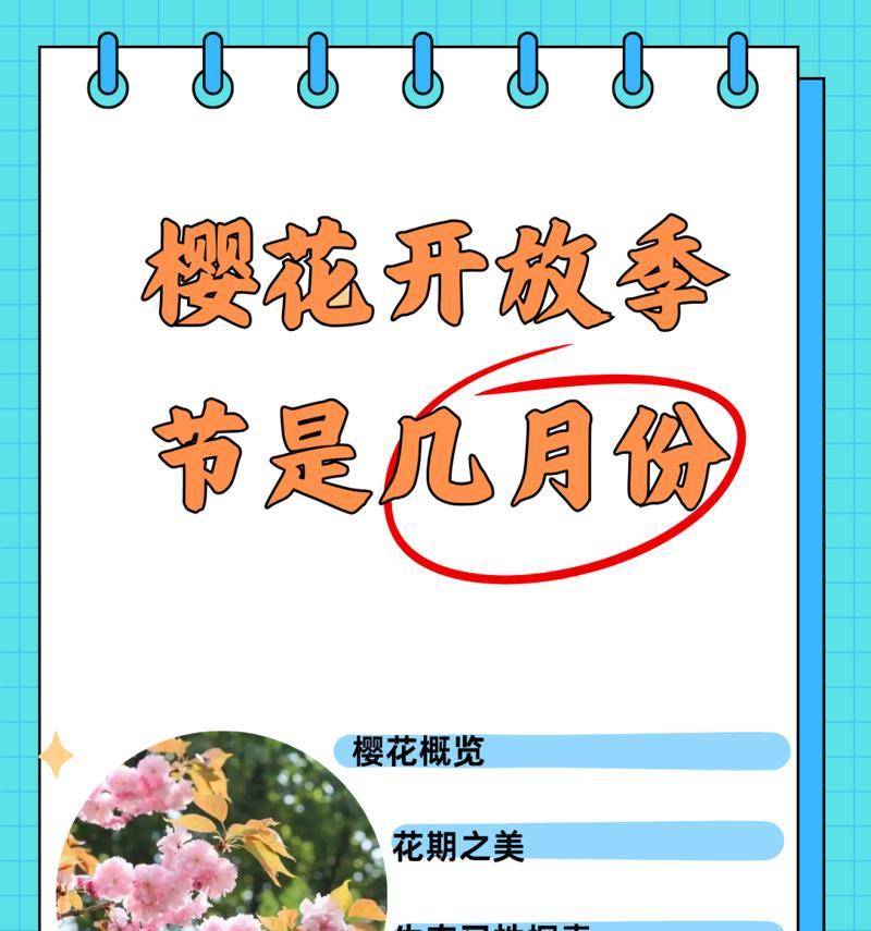 樱花的寓意和花语在送礼时有何特别含义？