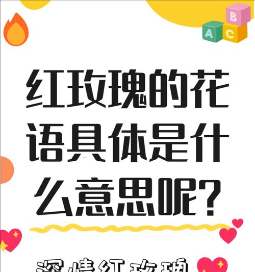 不同颜色玫瑰的花语分别是什么？