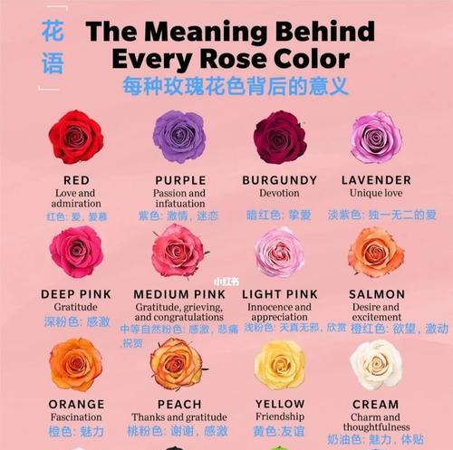 哪种花语表示迟钝？
