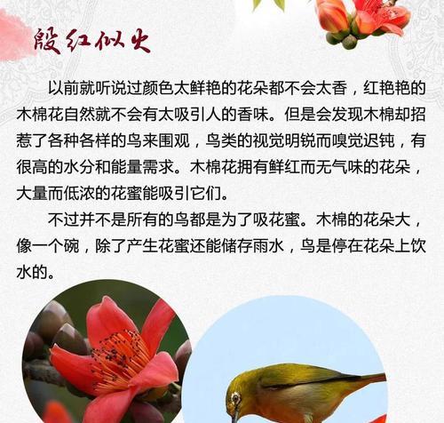 哪种花语表示迟钝？