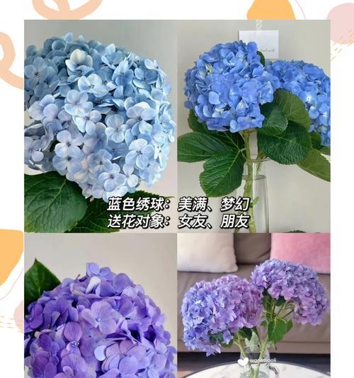 传承希望的花语是什么花？花语有何含义？