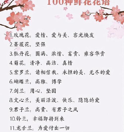 美人鲜花的花语有何寓意？