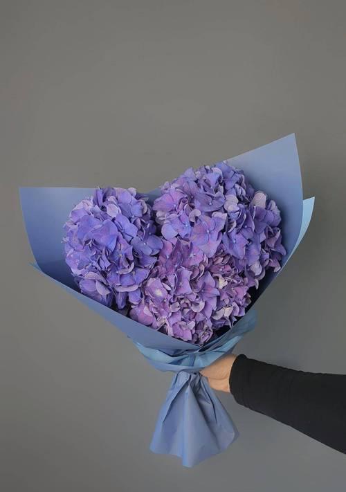 蓝冰玫瑰花的花语有何特别之处？它象征着什么？