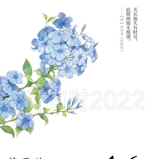 玫瑰雪花的花语有哪些？它象征着什么？