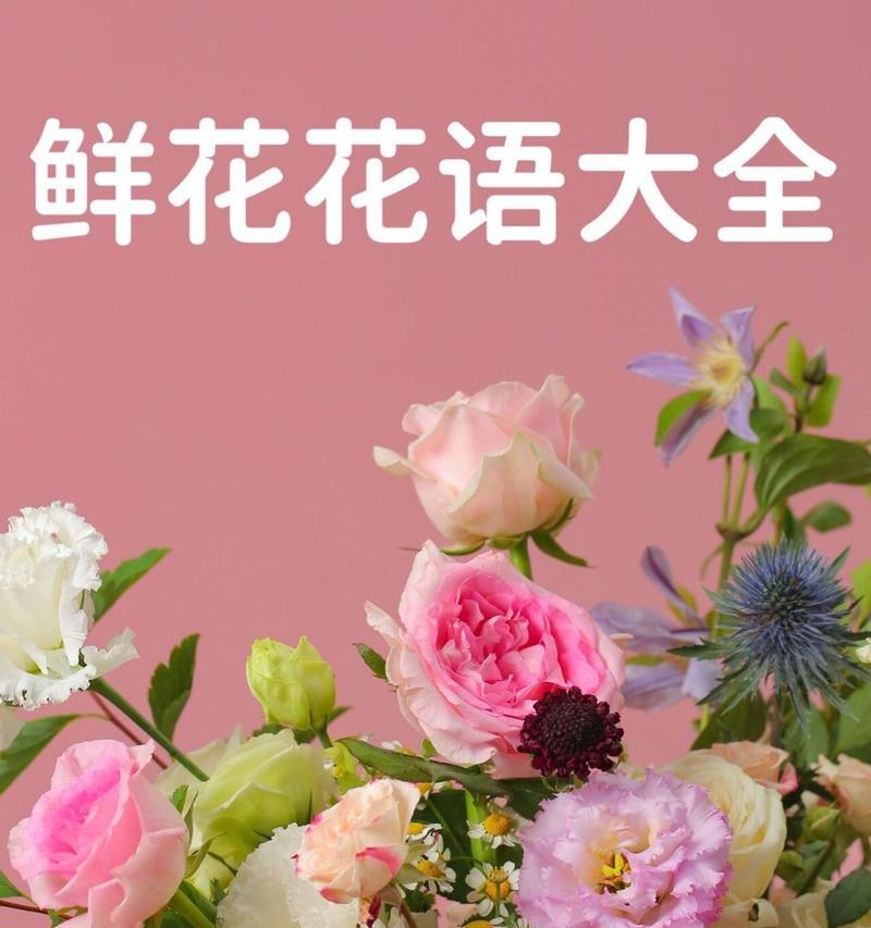 “我想保护你”花语是什么？哪种花代表保护？