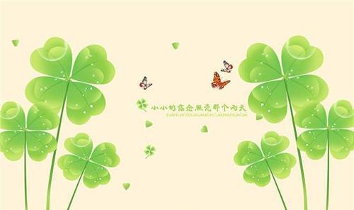 玉芝香的花语有哪些含义？它象征着什么？