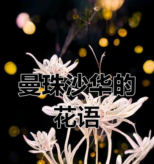 哪种花的花语表达了绝望的情感？