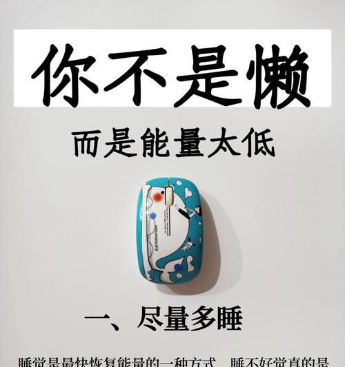 “懒懒的高贵”花语有何含义？它代表了怎样的生活态度？