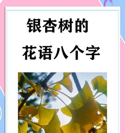 厚薄树的花语有哪些？它象征着什么？
