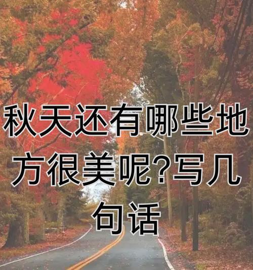 枫叶的搞笑花语有何趣味之处？