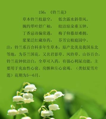 露珠下的草莓花语是什么？这种花语背后有什么特别的含义？