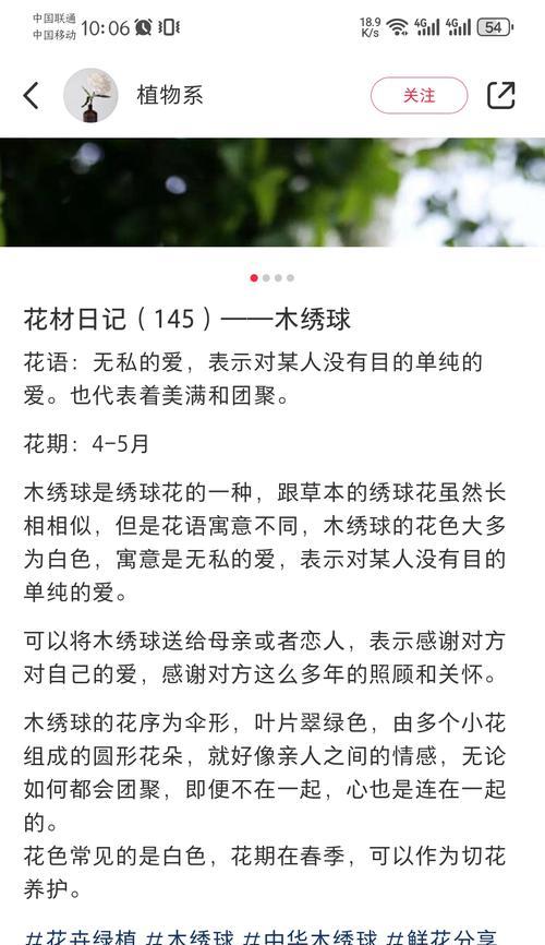 道具绣球花的花语有哪些？代表了什么？