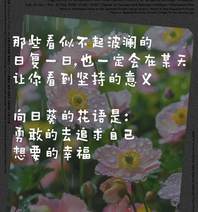 向日葵花语888代表了什么含义？