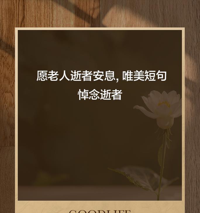 老人相关的花语有哪些？这些花语表达了什么意思？