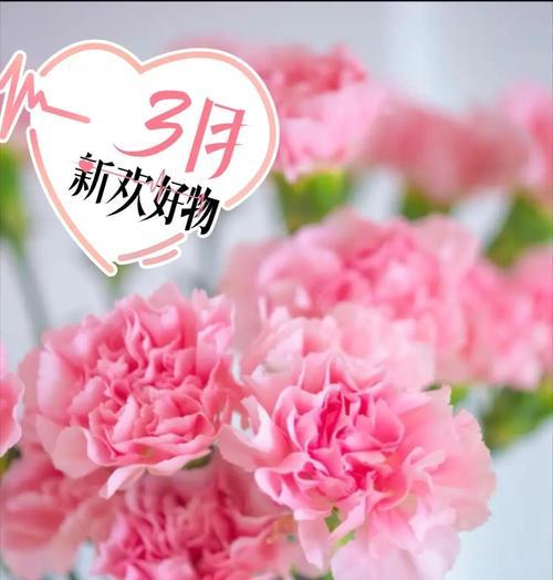 花语有遗忘的意思吗是什么？哪种花象征着遗忘？