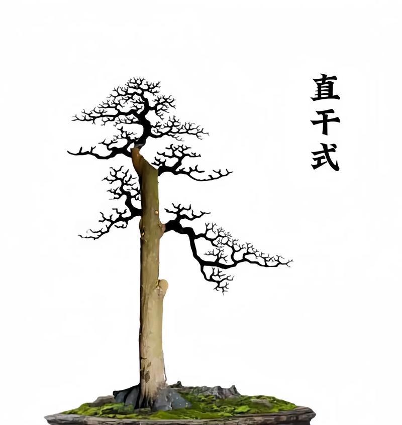九重紫的花语能表达哪些情感？