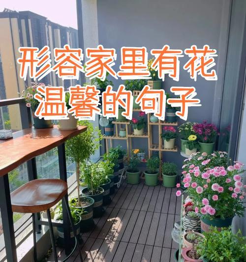 托育的花语含义是什么？如何选择合适的鲜花表达？