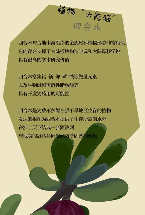 塞林木的花语是什么意思？塞林木寓意有何特别之处？