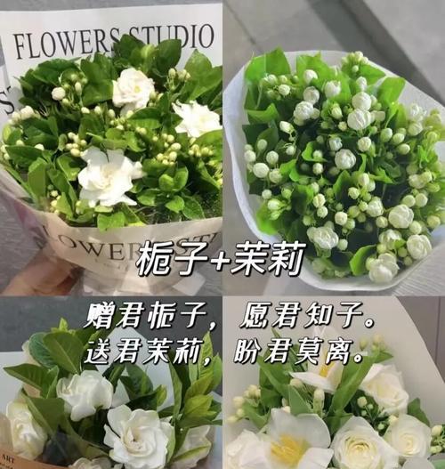 代表军恋的花语是什么？哪种花代表军恋？
