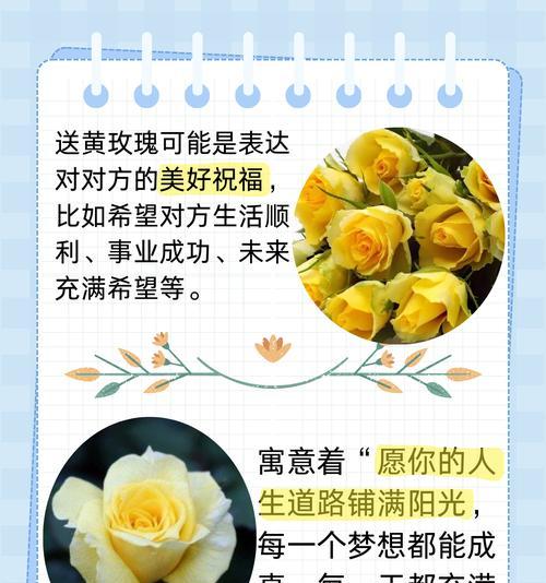 玫瑰花的花语和寓意是什么？