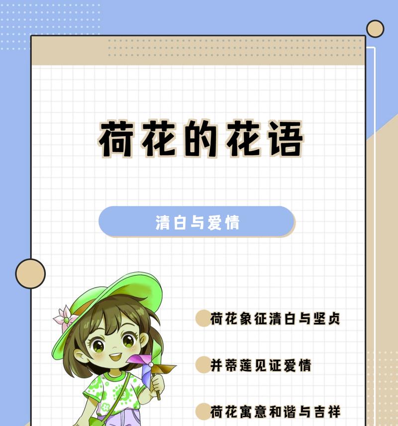荷花的花语有哪些含义？